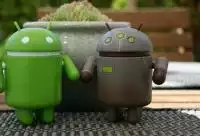 Sporo informacji na temat Androida 13