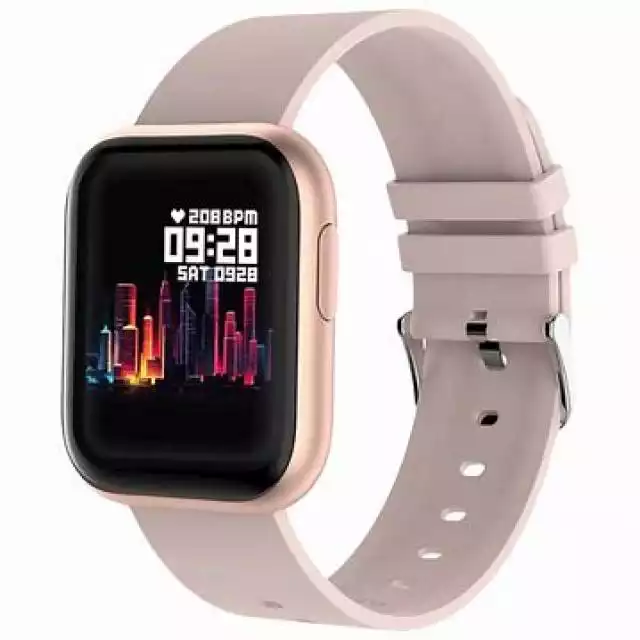 Smartwatch Fire-Boltt Ninja 2 w google_product_category