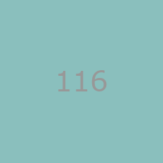 116 nieznanynumer