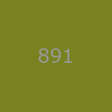 891 nieznanynumer