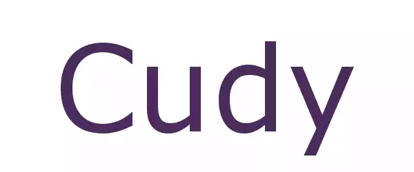 Producent CUDY