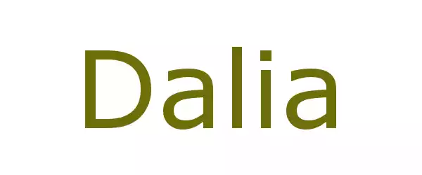 Producent Dalia