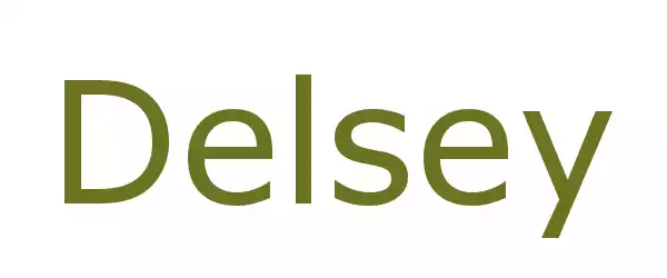 Producent Delsey