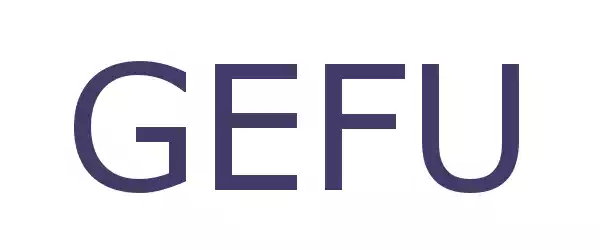 Producent GEFU