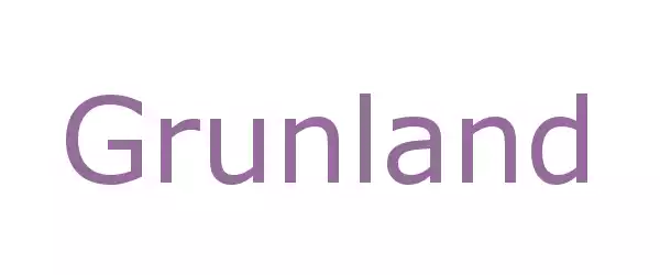 Producent Grunland