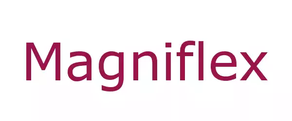 Producent Magniflex