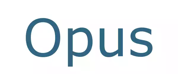 Producent Opus
