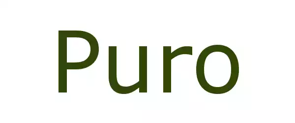 Producent PURO