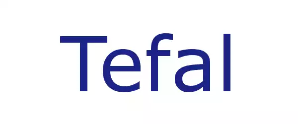 Producent TEFAL