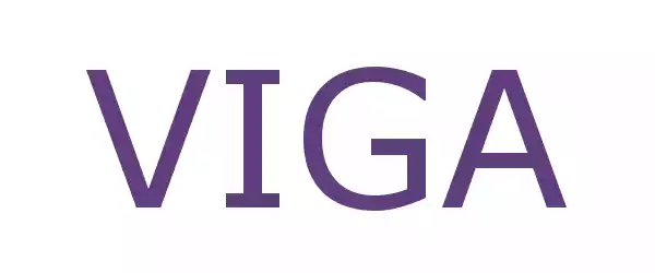 Producent VIGA