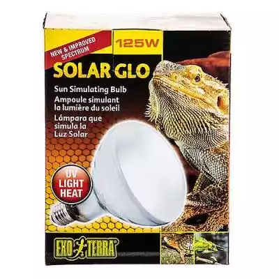 Exo Terra Solar Glo Mercury Vapor Lampa  Podobne : Exo Terra Solar Glo Mercury Vapor Lampa symulująca słońce, 125 W (opakowanie 3) - 2717680