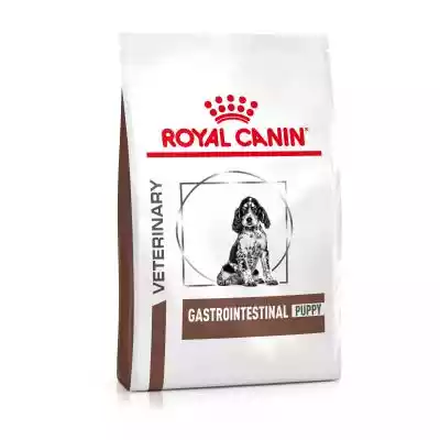 Royal Canin Veterinary Gastro Intestinal Podobne : ROYAL CANIN Intestinal Gastro Low Fat - mokra karma dla psa dorosłego z nadwrażliwością układu pokarmowego - 12x410g - 90281