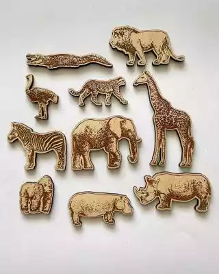 Zwierzęta świata do drewnianej mapy Natu Podobne : Młode zwierzęta. Pixi Ja wiem - 379253