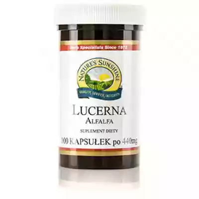 Lucerna (100 kaps.) Nature's Sunshine Products - NSP > Suplementy Diety