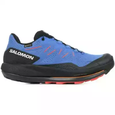 Buty do biegania Salomon  Pulsar Trail Gtx  Niebieski Dostępny w rozmiarach dla mężczyzn. 42, 41 1/3, 42 2/3.