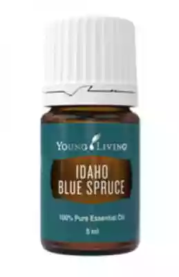 Olejek świerkowy / Idaho Blue Spruce ole Podobne : Olejek świerkowy / Idaho Blue Spruce olejek Young Living 5 ml - 2699