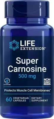 Life Extension Super Carnosine 500 mg 60 Podobne : Life Extension Karnozyna, 500 mg, 60 kapsli (opakowanie po 4) - 2827687