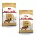 Royal Canin BHN Cocker Adult - sucha karma dla psa dorosłego - 2x12 kg