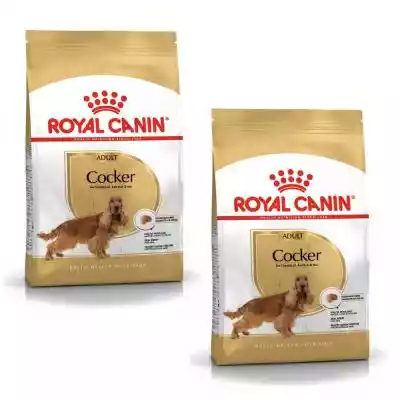 Royal Canin BHN Cocker Adult - sucha kar Podobne : Royal Canin Light Weight Care Maxi - sucha karma dla psów dorosłych - 12 kg - 88336
