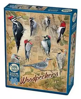 Notable Woodpeckers przedstawia dziewięć zabawnych kochających ptaków z Ameryki Północnej autorstwa artystki Susan Bourdet.
 
Notable Woodpeckers présente neuf oiseaux d'Amérique du Nord qui aiment s'amuser par l'artiste Susan Bourdet.