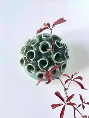 Wazon SUUS jest niezwykłą formą ceramiczną wykonaną ręcznie. Naczynie poprzez swój finezyjny kształt można wyeksponować samo,  lub stworzyć dekorację z roślinami. Wysokość: 11cm Szerokość: 14, 5cm  