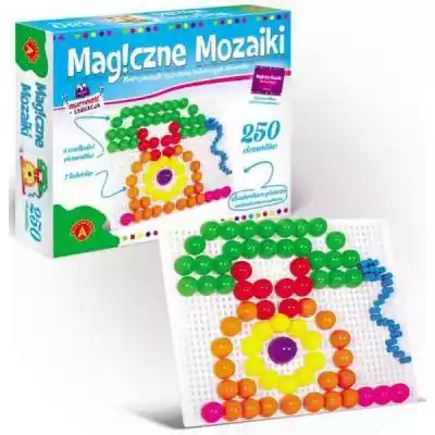 Alexander Magiczne Mozaiki  Edukacja 250 Podobne : Kreatywność w zarządzaniu - wybrane aspekty - 670453