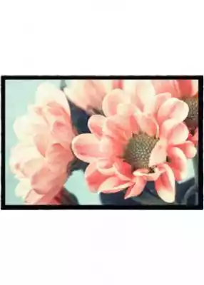 Wycieraczka w kwiaty Podobne : Wycieraczka Fara 50 x 75 cm - 10614
