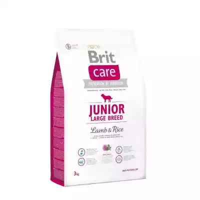 BRIT Care Junior Large Breed Lamb & Rice Podobne : BRIT Care Junior Large Breed Lamb & Rice - sucha karma z jagnięciną i ryżem dla szczeniąt dużych ras - 3 kg - 90779