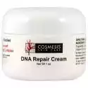 Life Extension DNA Repair Cream, 1 uncja (opakowanie 1 szt.)