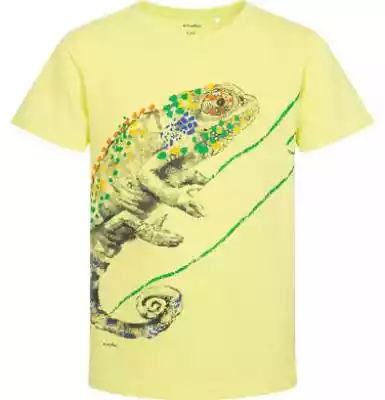 T-shirt z krótkim rękawem dla chłopca, z Podobne : T-shirt z krótkim rękawem dla chłopca, z motywem piłkarskim, żółty, 9-13 lat - 29258