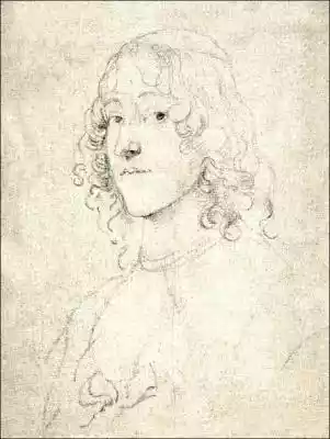 Portrait Study, Anthony van Dyck - plaka Podobne : Portrait of a Man, Pierre-Auguste Renoir - plakat - 325356