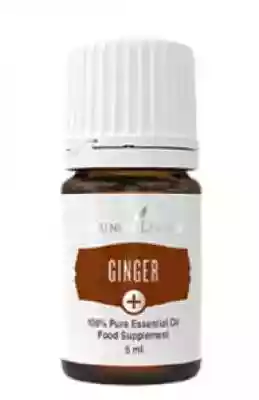 Olejek imbirowy spożywczy / Ginger Young popularny