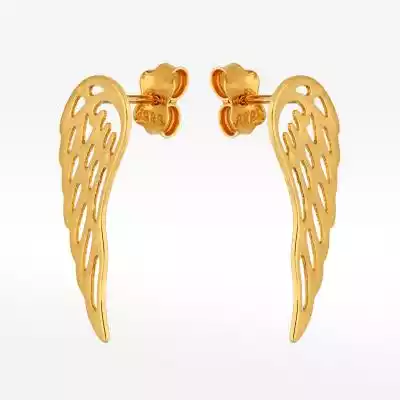 Kolczyki ze złota skrzydła Biżuteria złota > Kolczyki złote