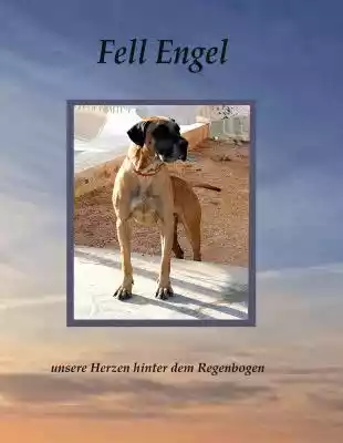 Fell Engel Podobne : Fell Engel - 2481829