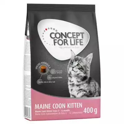 30% taniej! Concept for Life sucha karma Podobne : Concept for Life Sterilised Cats, łosoś - 400 g - 342375