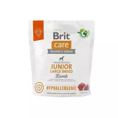 Brit Care Hypoallergenic Junior Large Br Podobne : BRIT Care Junior Large Breed Lamb & Rice - sucha karma z jagnięciną i ryżem dla szczeniąt dużych ras - 3 kg - 90779