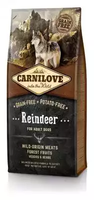 Carnilove Reindeer - Renifer i Dzik  - karma sucha dla psów dorosłych Carnilove jest czeską marką karm,  wytwarzaną przez Vafo Praha. Firmy o ponad 25 letniej tradycji komponowania karm w poszanowaniu naturalnych potrzeb żywieniowych psów i kotów. Dlatego też karmy nie zawierają zbóż oraz 