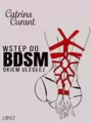 Wstęp do BDSM: Okiem uległej – przewodni lust
