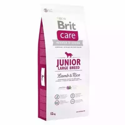 BRIT Care Junior Large Breed Lamb & Rice Podobne : BRIT Care Junior Large Breed Lamb & Rice - sucha karma z jagnięciną i ryżem dla szczeniąt dużych ras - 3 kg - 90779