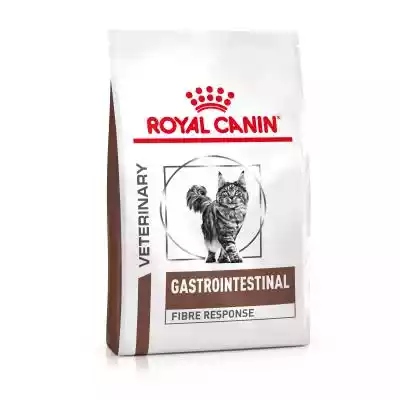 Royal Canin Veterinary Feline Gastrointe Koty / Karma sucha dla kota / Royal Canin Veterinary / Fibre Response