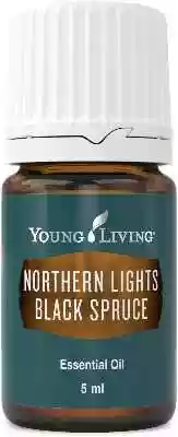 Olejek świerkowy - Northern Lights Black rosnie