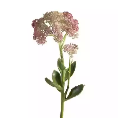 Kwiat dekoracyjny NATU zielono-różowy 55 Podobne : Kwiat dekoracyjny SW beżowo-biały 26CM /x12 - 218580