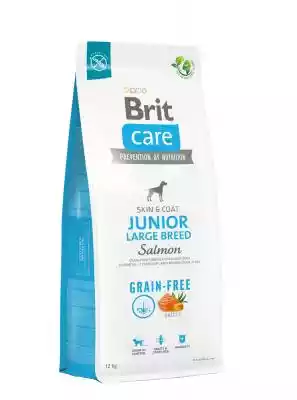 Brit Care Grain-Free Junior Large Breed  Podobne : BRIT Care Grain-free Puppy Salmon & Potato - sucha karma z łososiem i ziemniakami dla szczeniąt - 2x12 kg - 90360