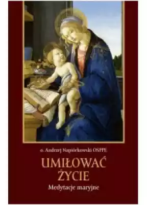 Umiłować życie. Medytacje maryjne Podobne : Drogi duchowe katolicyzmu polskiego XVII wieku. Tom VII - 735711