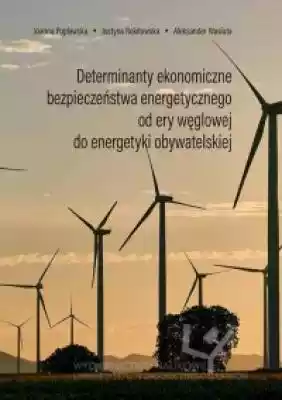 Determinanty ekonomiczne bezpieczeństwa  Podobne : Determinanty ekonomiczne bezpieczeństwa energetycznego od ery węglowej do energetyki obywatelskiej - 526916