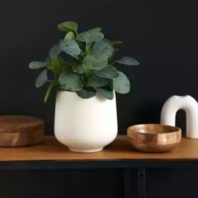 Sinsay - Doniczka ceramiczna - Kremowy Podobne : Flower Lover Doniczka samonawadniająca Quadrato Grande czarny, 22 x 41 cm - 277144