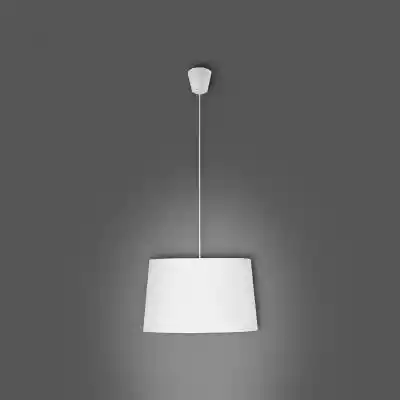 Lampa Maja 1883 LW1 to lampa,  która doskonale dopasuję się do wystroju wnętrza. Jakość lampy łączy ze sobą funkcjonalność i efektowny wygląd. Stylowa i nowoczesna lampa będzie idealnym dodatkiem,  szczególnie do salonu,  kuchni lub jadalni. Posiada jedno miejsca na źródła światła z gwinte
