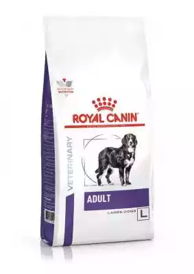ROYAL CANIN Adult Large - sucha karma dl Podobne : Royal Canin Coat Care pasztet - saszetka dla psa 85g 85g - 44570