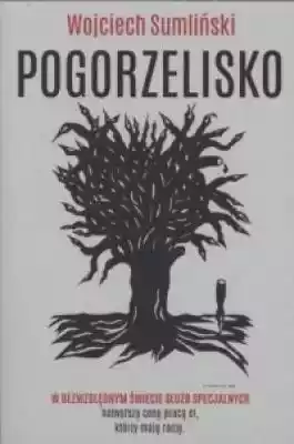 Pogorzelisko Podobne : Pogorzelisko - 732949