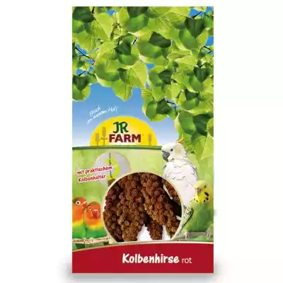 JR Farm Kolba z prosa - czerwona - 1 kg Podobne : Kolba Uchwyt filtra ekspresu DeLonghi 5513200369 - 1793805